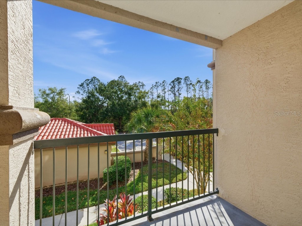 4209 Woodstorks Walk Way #1204 Lutz FL 33558 TB8457133 image22