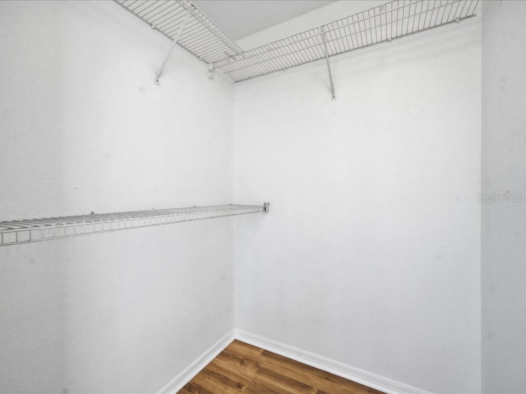 4209 Woodstorks Walk Way #1204 Lutz FL 33558 TB8457133 image27