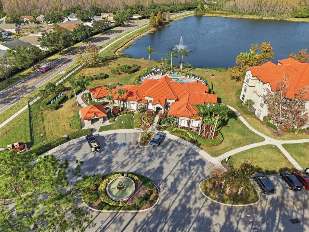 4209 Woodstorks Walk Way #1204 Lutz FL 33558 TB8457133 image32