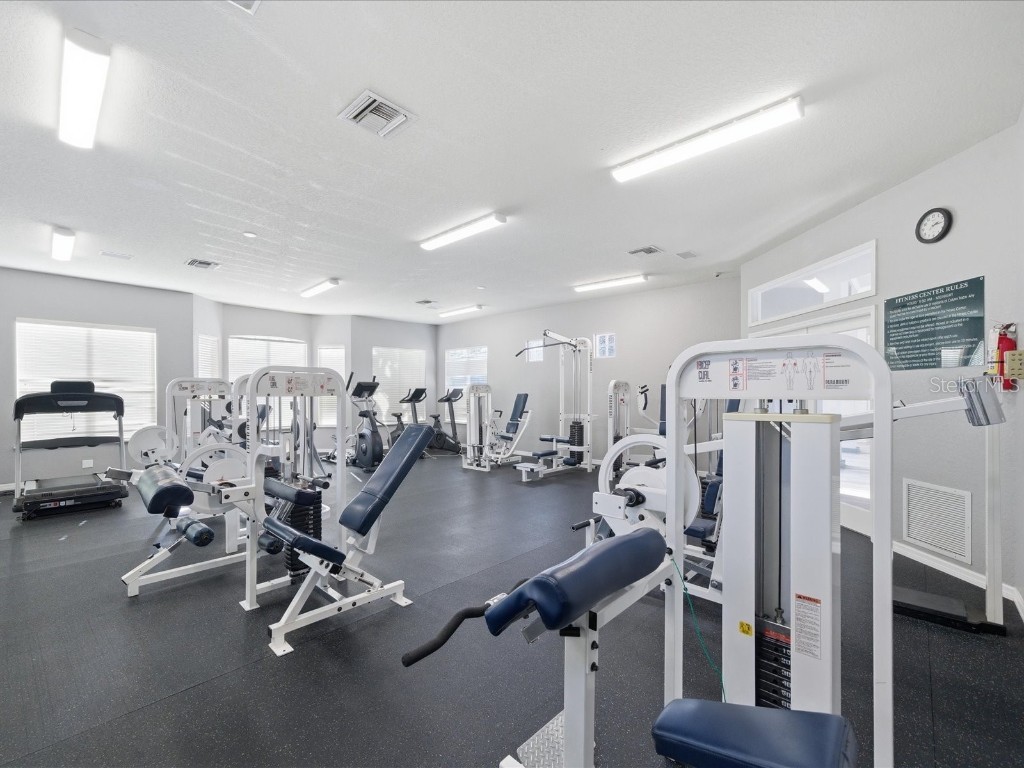 4209 Woodstorks Walk Way #1204 Lutz FL 33558 TB8457133 image36