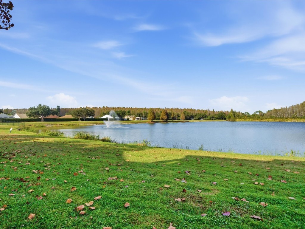 4209 Woodstorks Walk Way #1204 Lutz FL 33558 TB8457133 image44