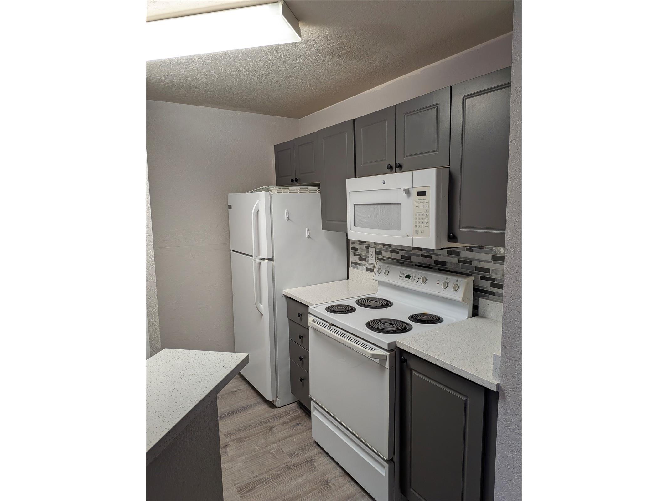 4209 Woodstorks Walk Way #1205 Lutz FL 33558 TB8514840 image3
