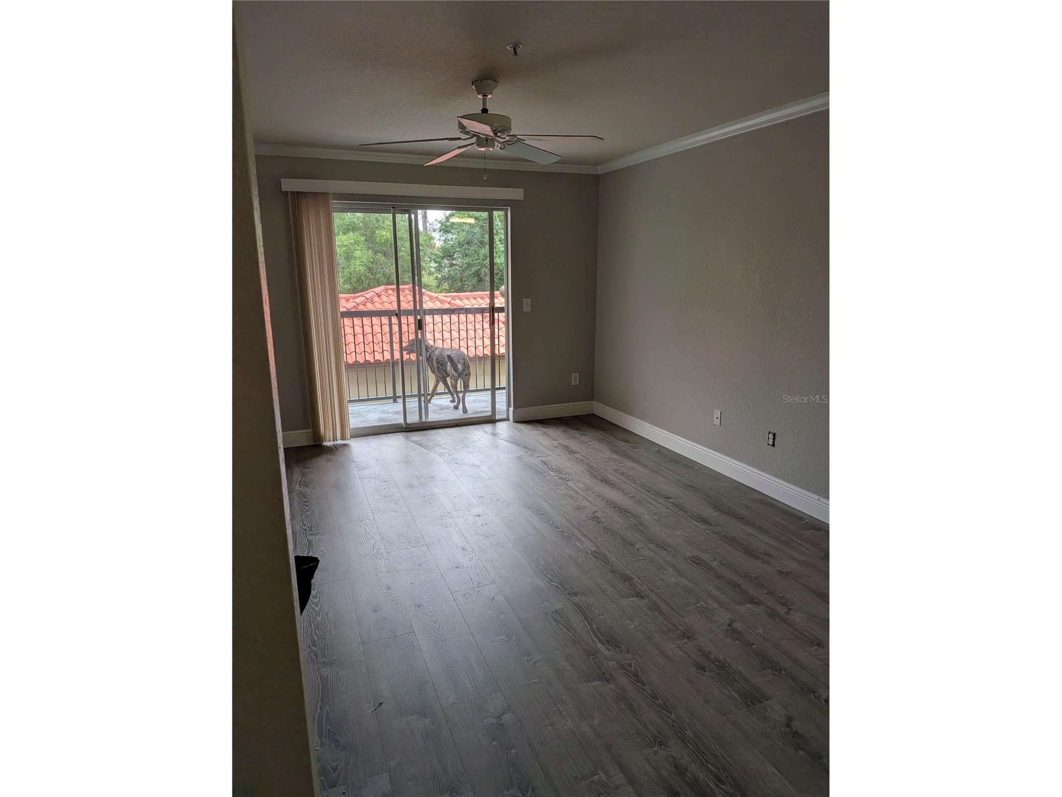 4209 Woodstorks Walk Way #1205 Lutz FL 33558 TB8514840 image4