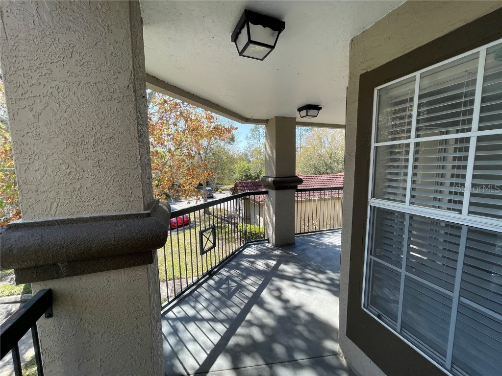 4209 Woodstorks Walk Way #1206 Lutz FL 33558 T3508005 image1