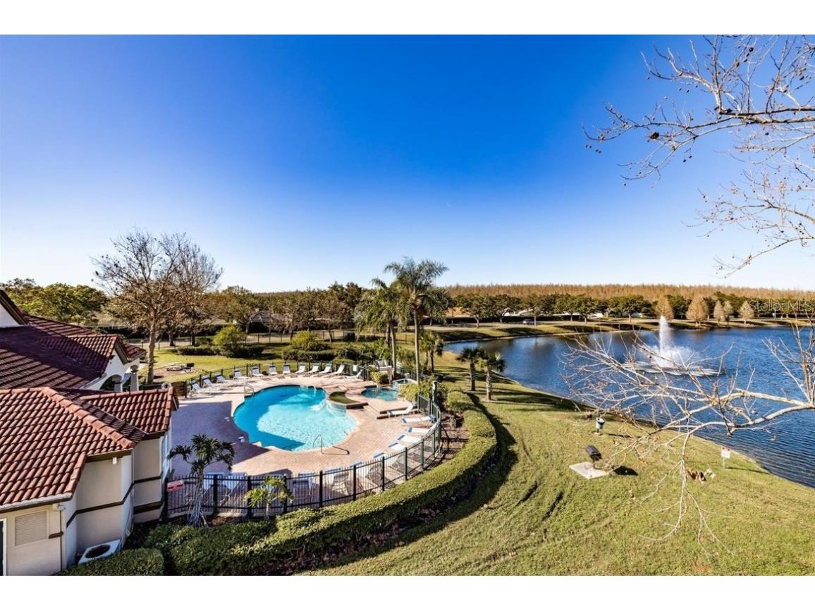 4209 Woodstorks Walk Way #1312 Lutz FL 33558 T3433106 image1