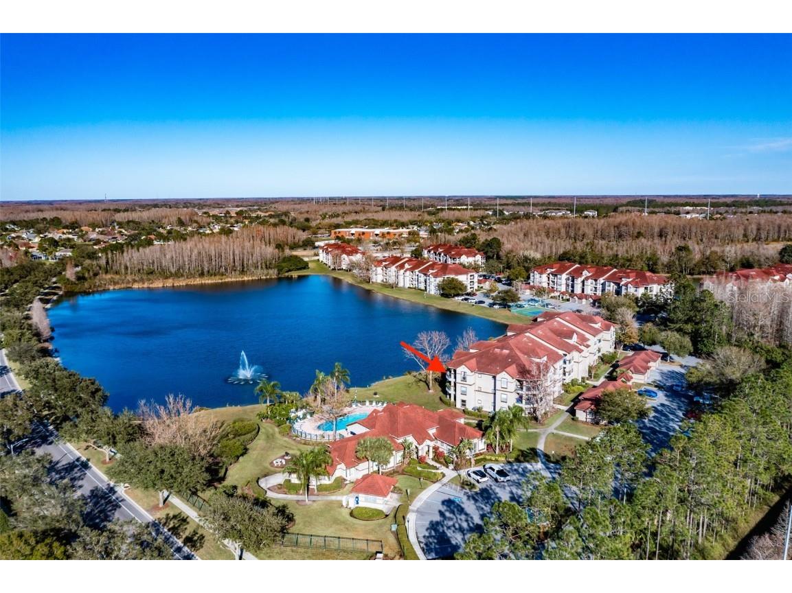 4209 Woodstorks Walk Way #UNIT 1312 Lutz FL 33558 T3426475 image1