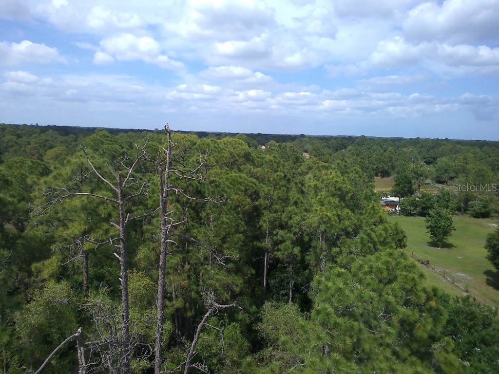 421 Avenida Del Sur Clewiston FL 33440 OM675331 image11