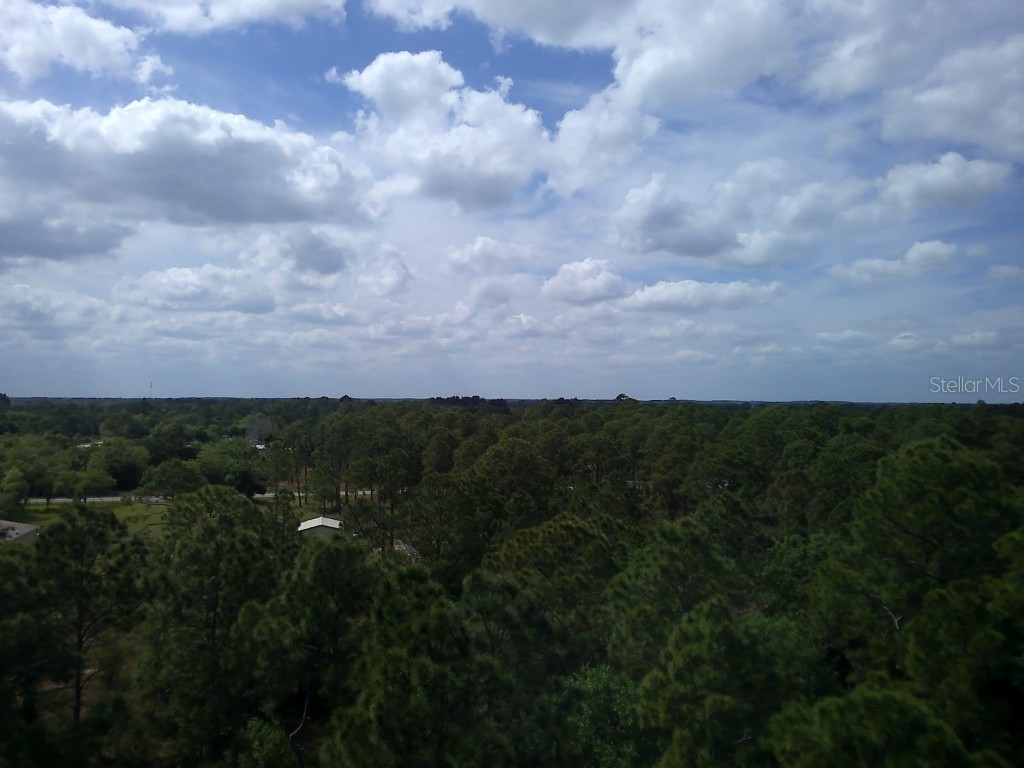 421 Avenida Del Sur Clewiston FL 33440 OM675331 image8