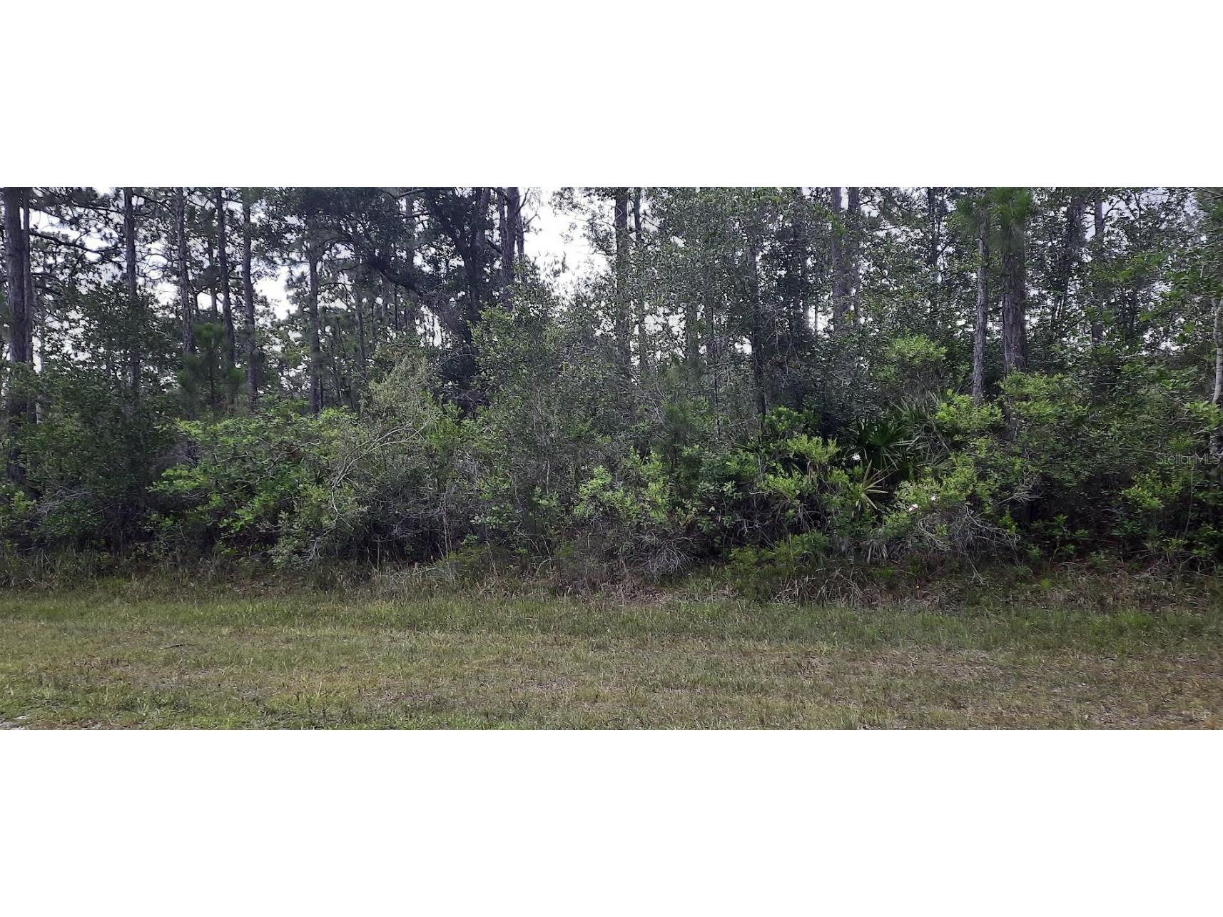 421 Azalea Drive Indian Lake Estates FL 33855 - LAKE WALK-IN-WATER TB8395629 image1