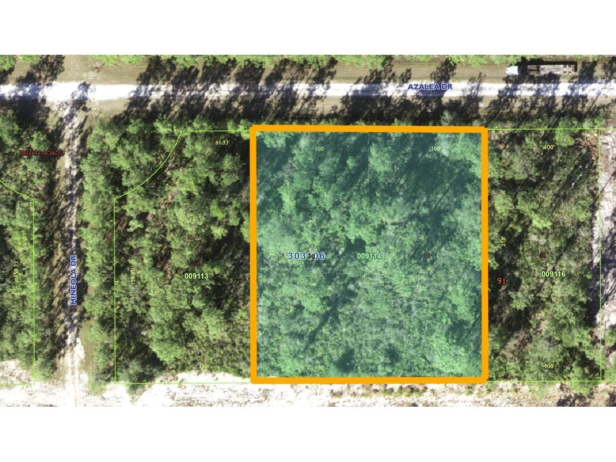 421 Azalea Drive Indian Lake Estates FL 33855 - LAKE WALK-IN-WATER TB8395629 image2