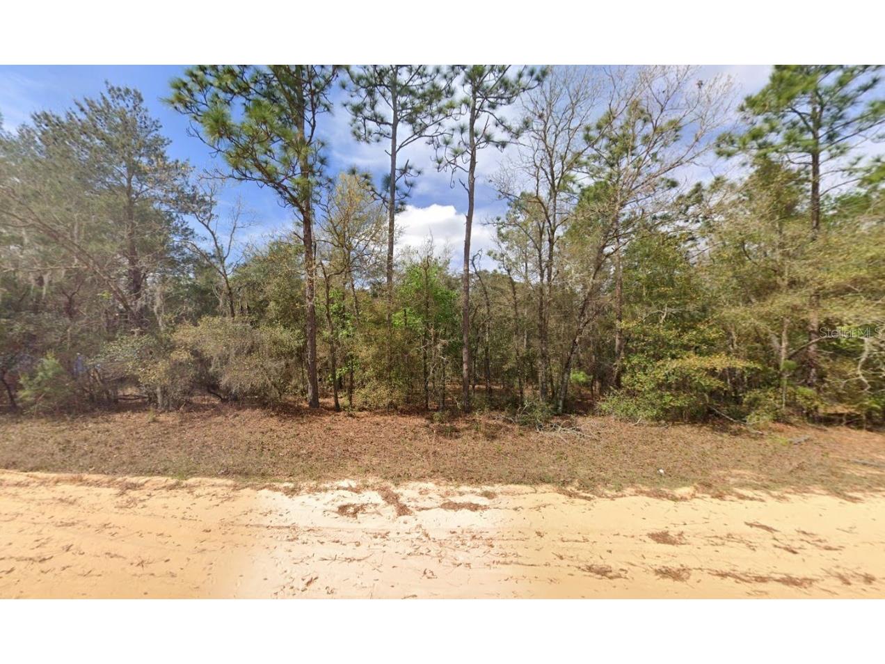 421 Brett Avenue Interlachen FL 32148 OK225538 image1