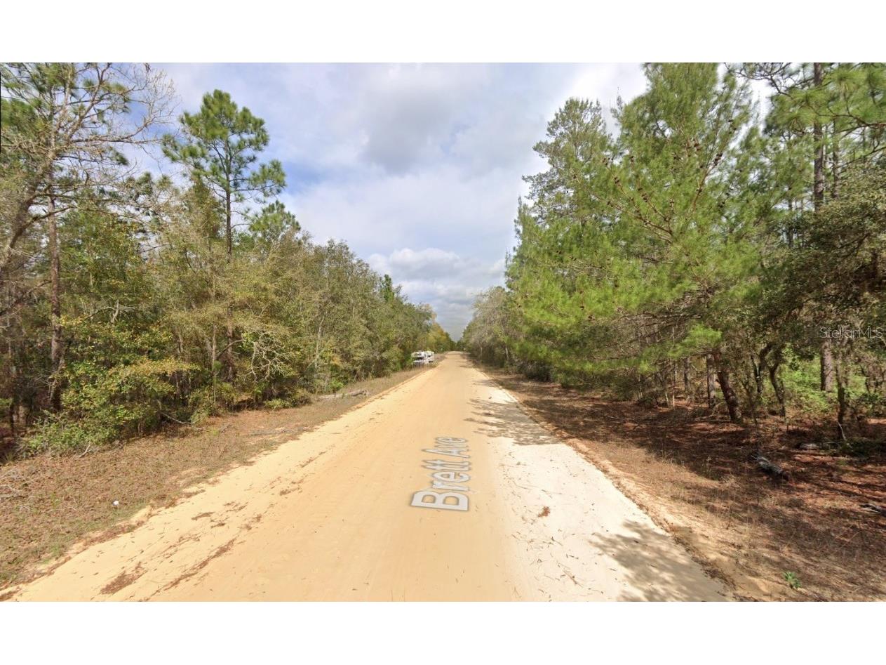 421 Brett Avenue Interlachen FL 32148 OK225538 image2