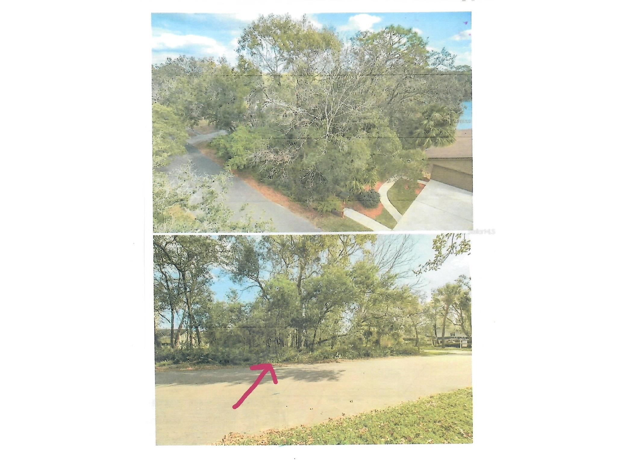 421 Cardinal Oaks Court Lake Mary FL 32746 O6378212 image2