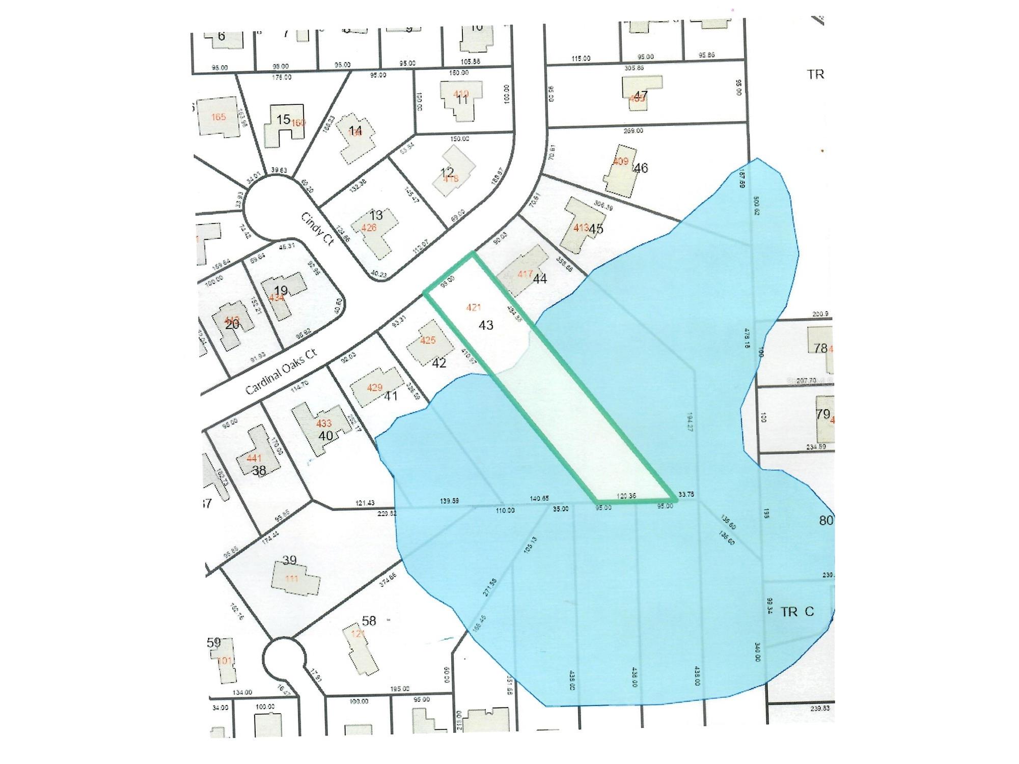 421 Cardinal Oaks Court Lake Mary FL 32746 O6378212 image3