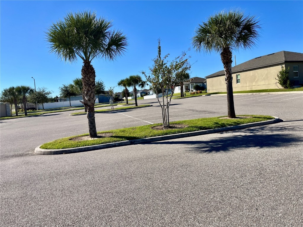 421 Disa Dr. Davenport FL 33837 O6356825 image32