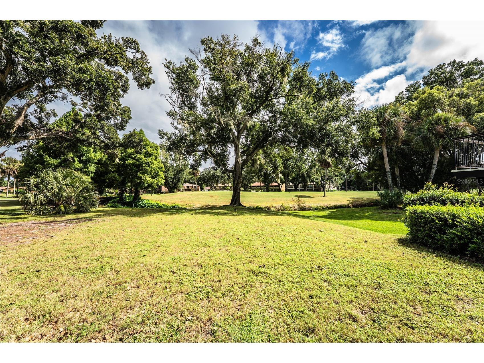 421 Lone Palm Drive Lakeland FL 33815 L4955969 image17