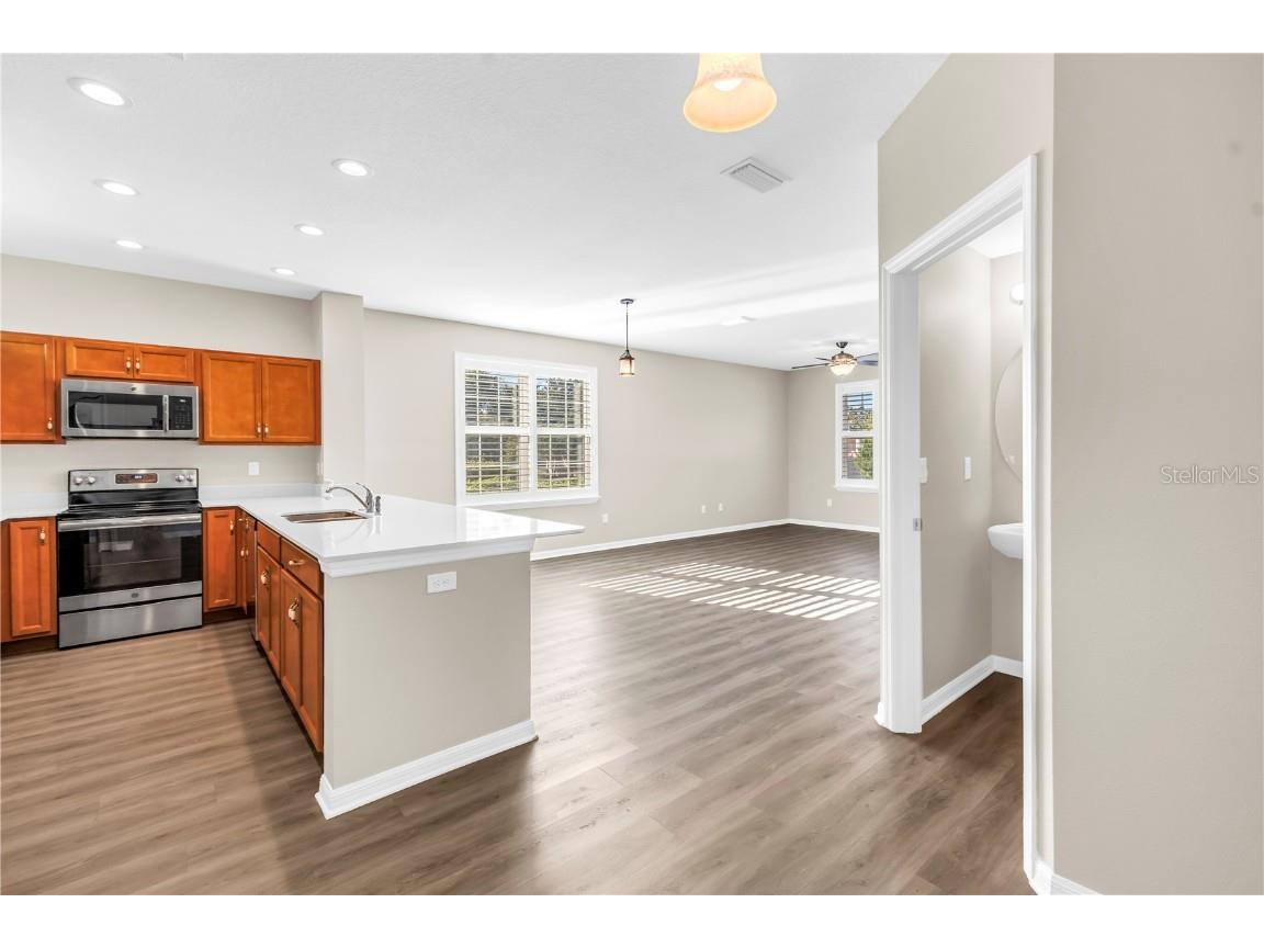 421 Lorraine Leland Street Dunedin FL 34698 TB8431709 image23