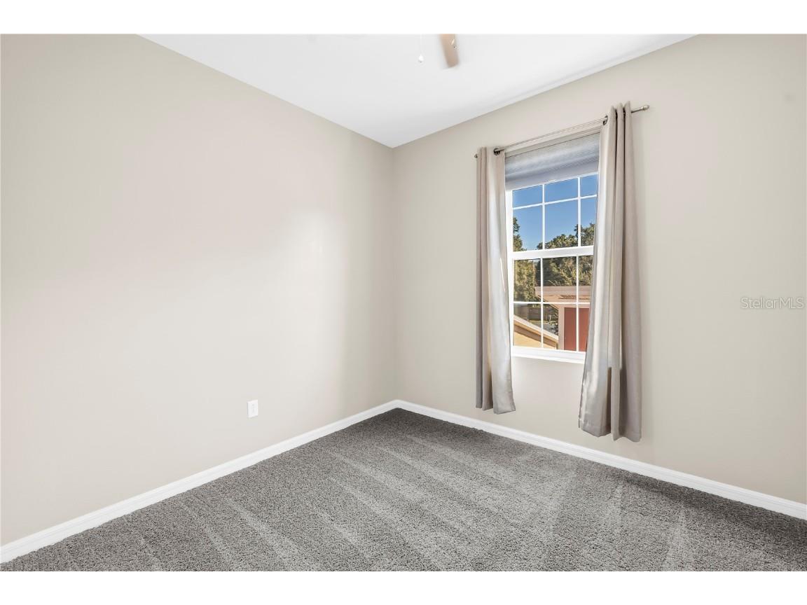 421 Lorraine Leland Street Dunedin FL 34698 TB8431709 image25