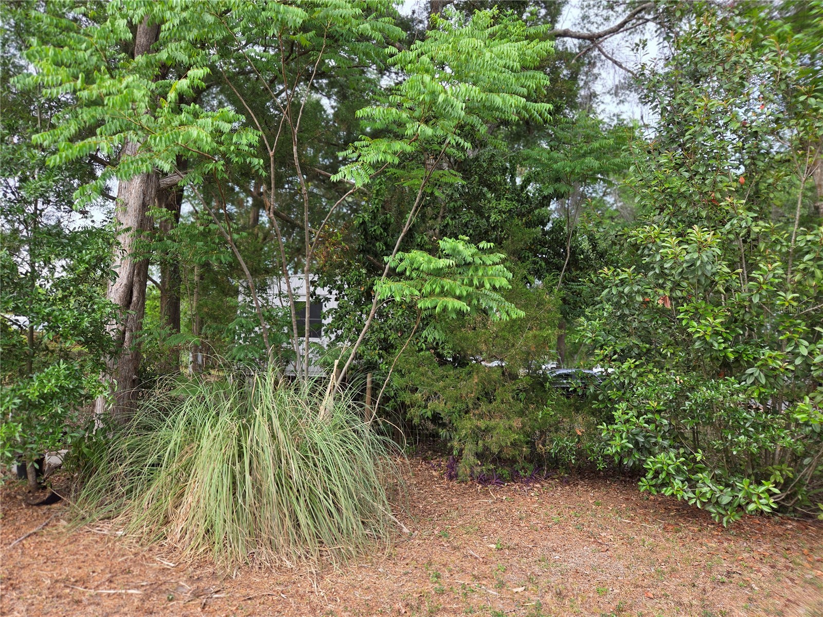 421 Margaret Street Bronson FL 32621 OM723676 image31