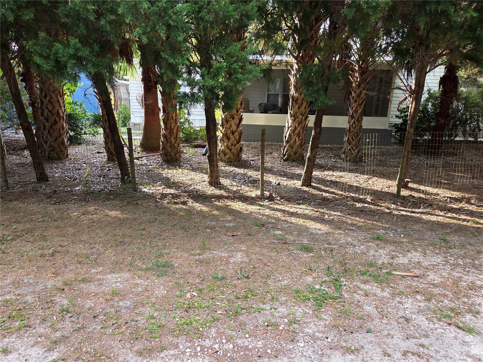 421 Margaret Street Bronson FL 32621 OM723676 image7