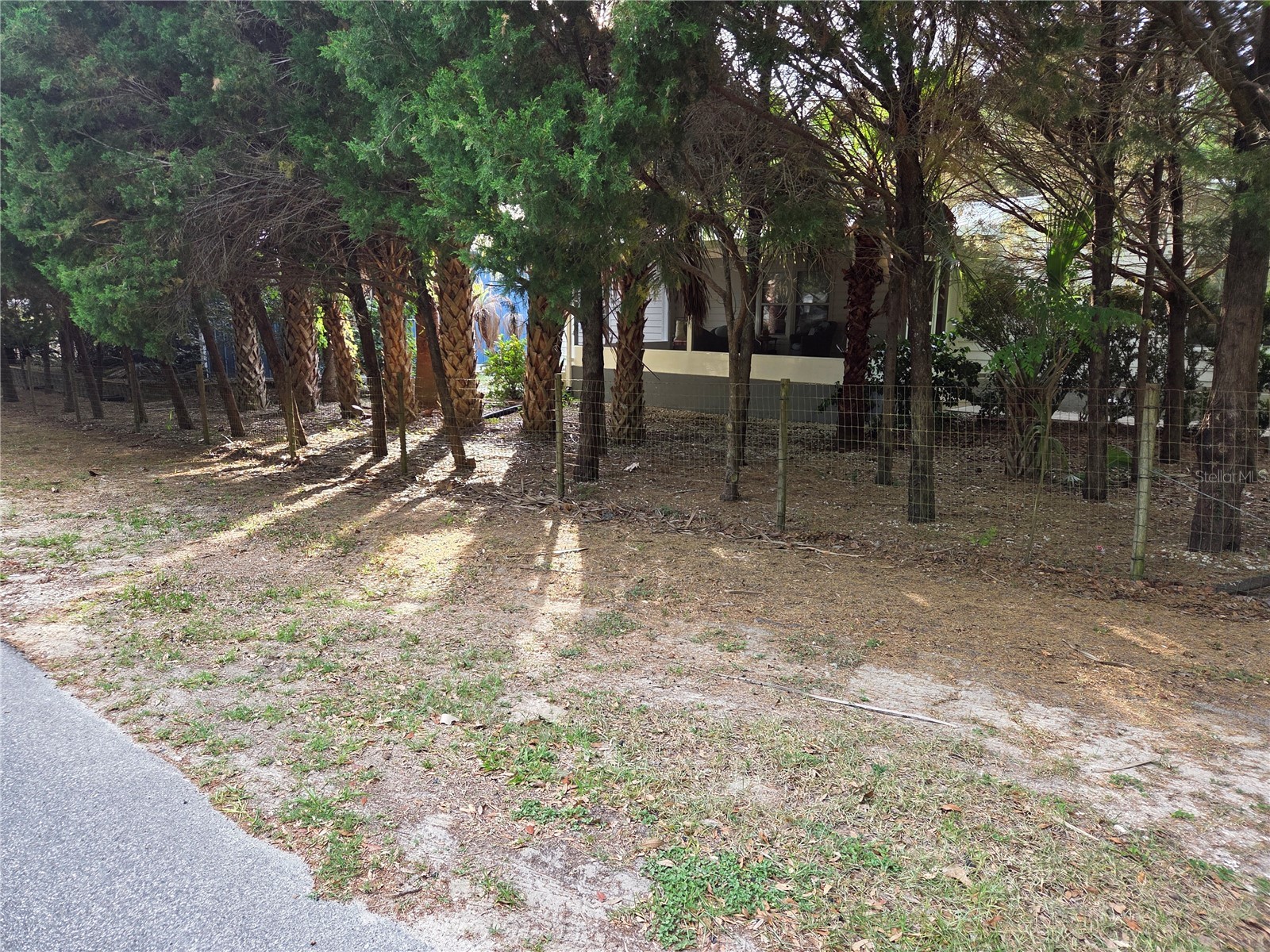 421 Margaret Street Bronson FL 32621 OM723676 image71