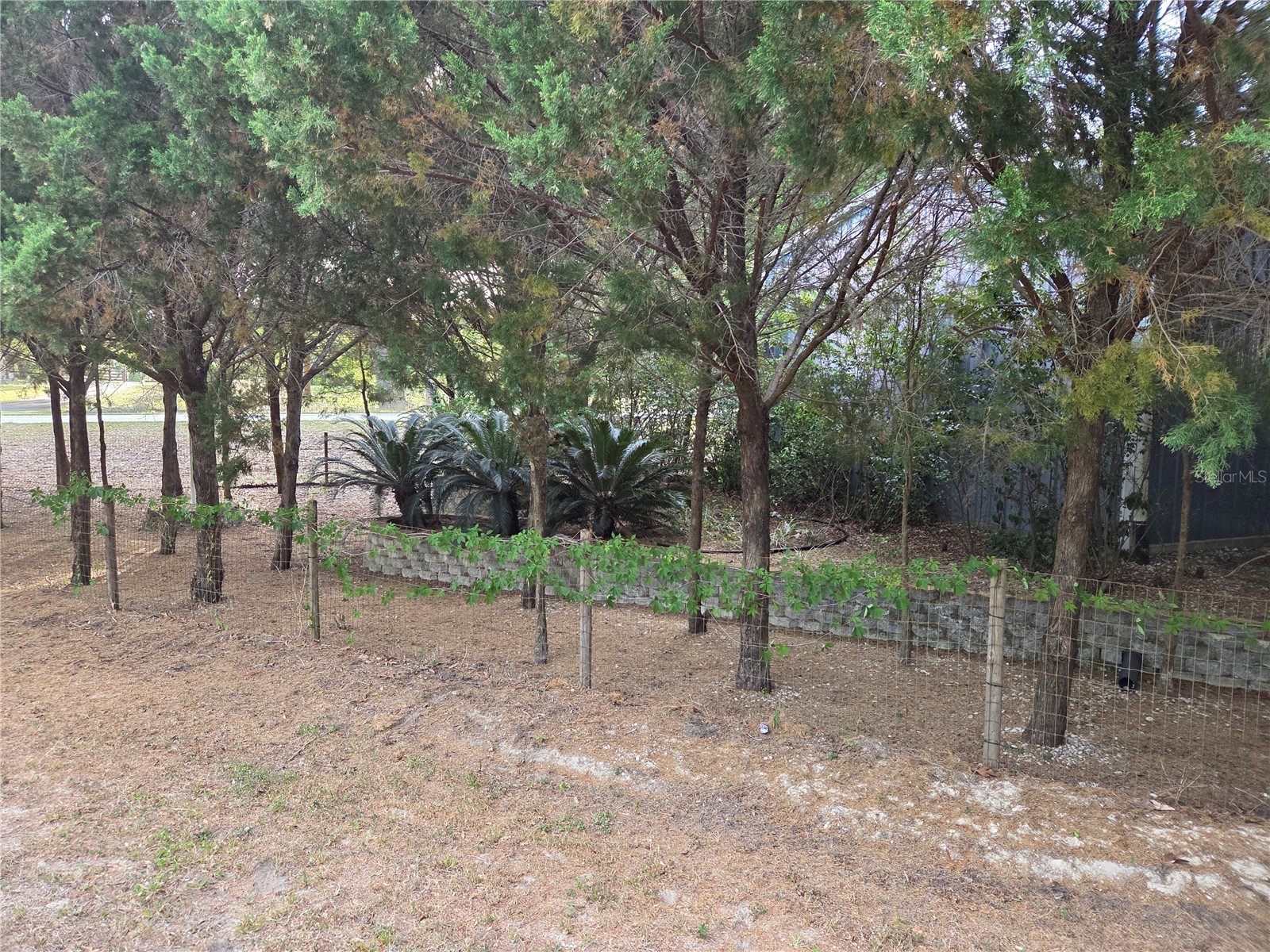421 Margaret Street Bronson FL 32621 OM723676 image73