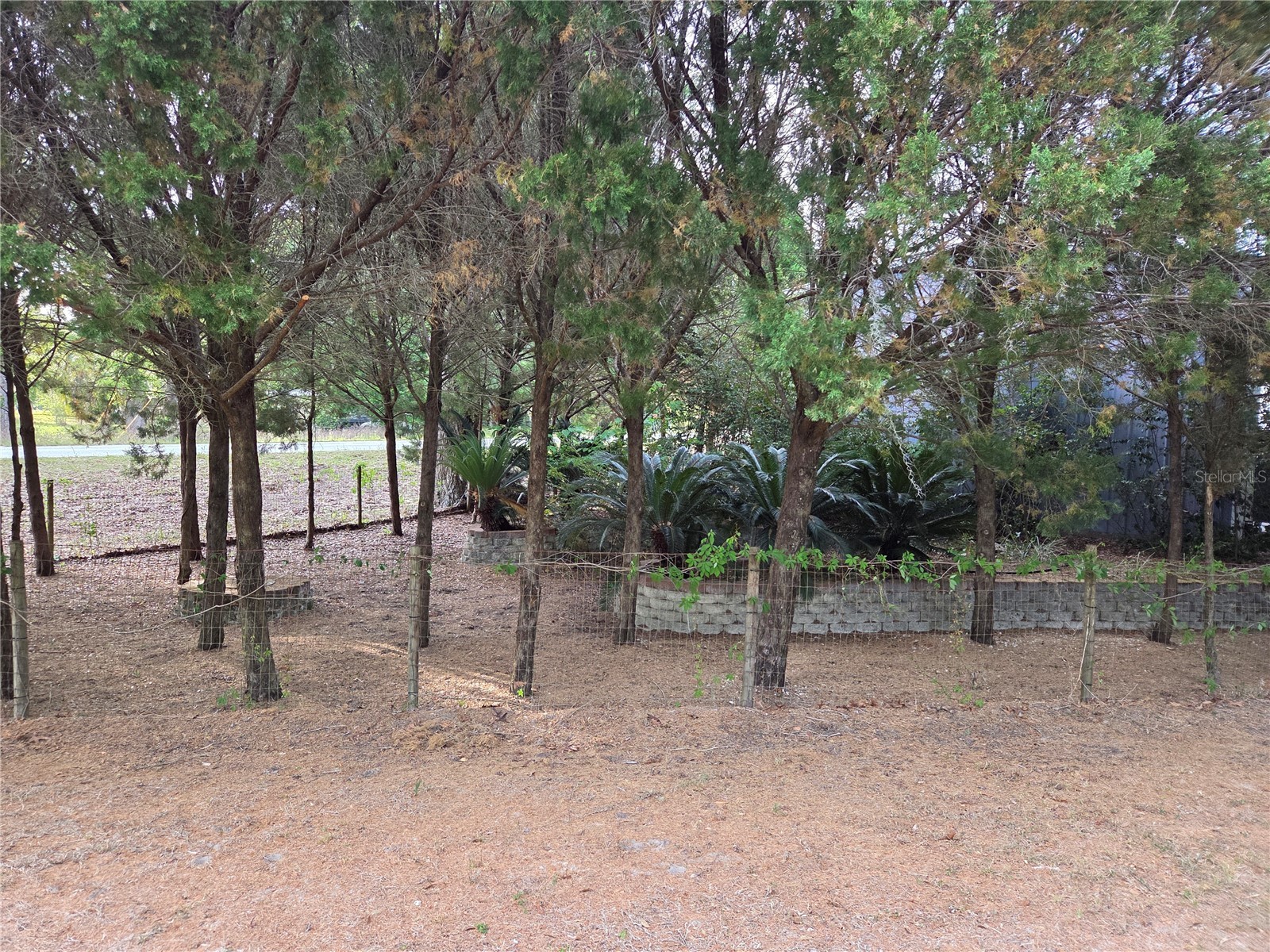 421 Margaret Street Bronson FL 32621 OM723676 image74