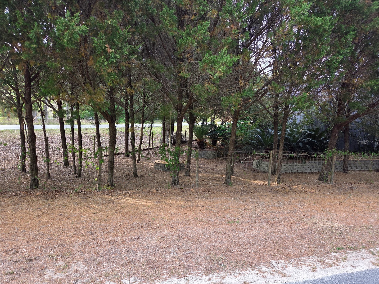 421 Margaret Street Bronson FL 32621 OM723676 image75