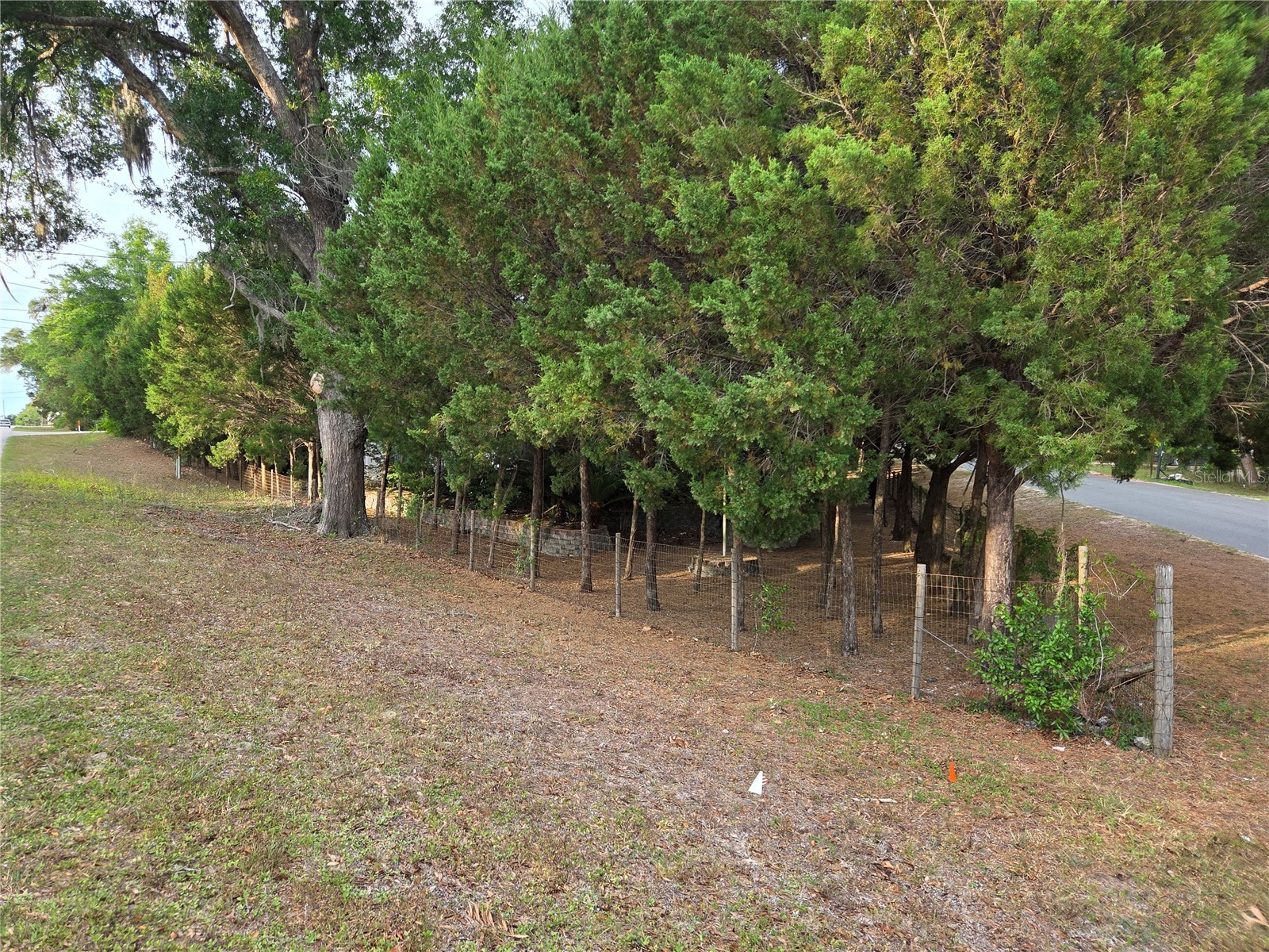 421 Margaret Street Bronson FL 32621 OM723676 image77