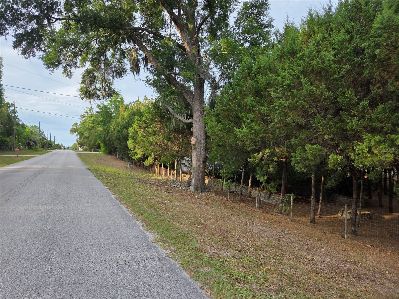 421 Margaret Street Bronson FL 32621 OM723676 image78