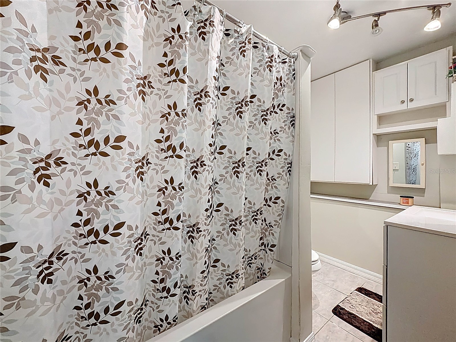 421 NW 14th Place Crystal River FL 34428 TB8461618 image44