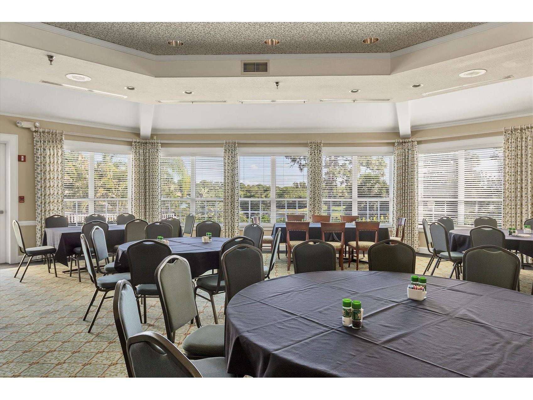 421 Pinewood Lake Drive Venice FL 34285 N6142440 image61