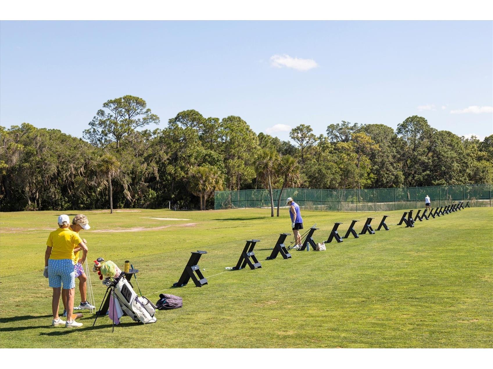 421 Pinewood Lake Drive Venice FL 34285 N6142440 image70