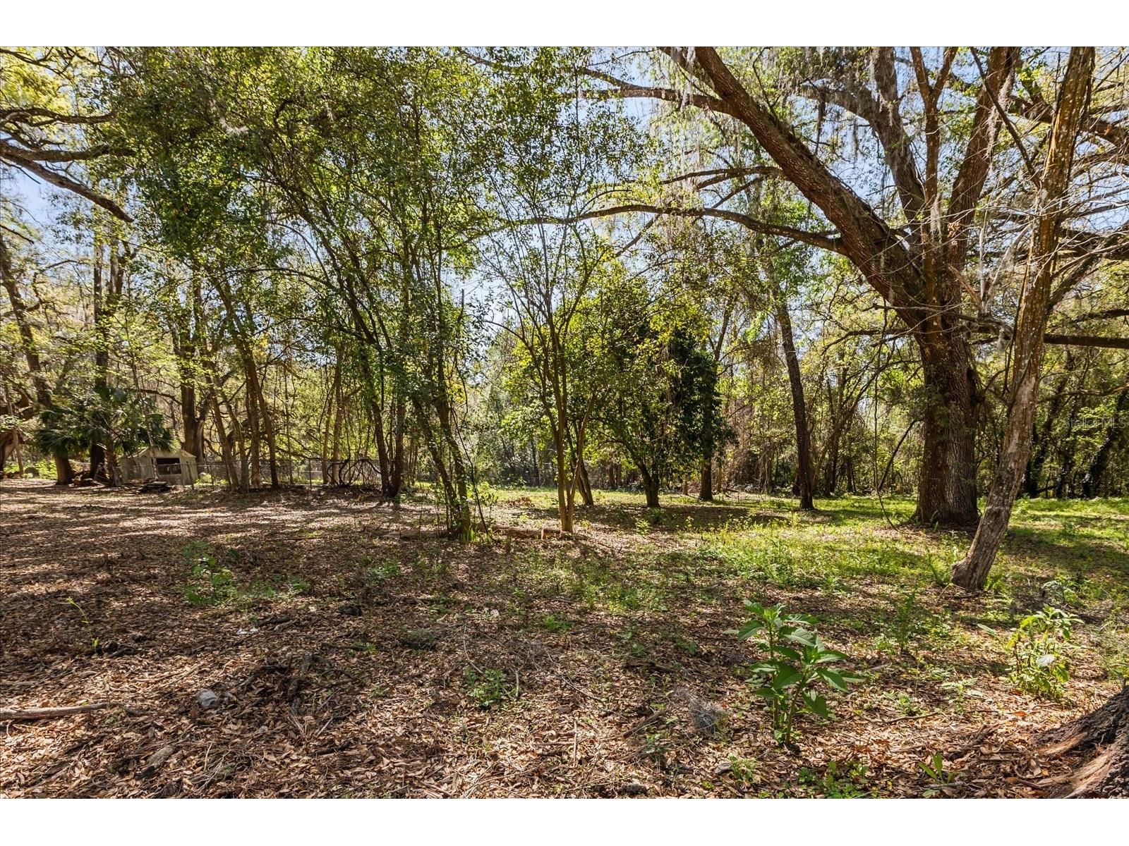 421 SW 137th Avenue Ocala FL 34481 O6390649 image42