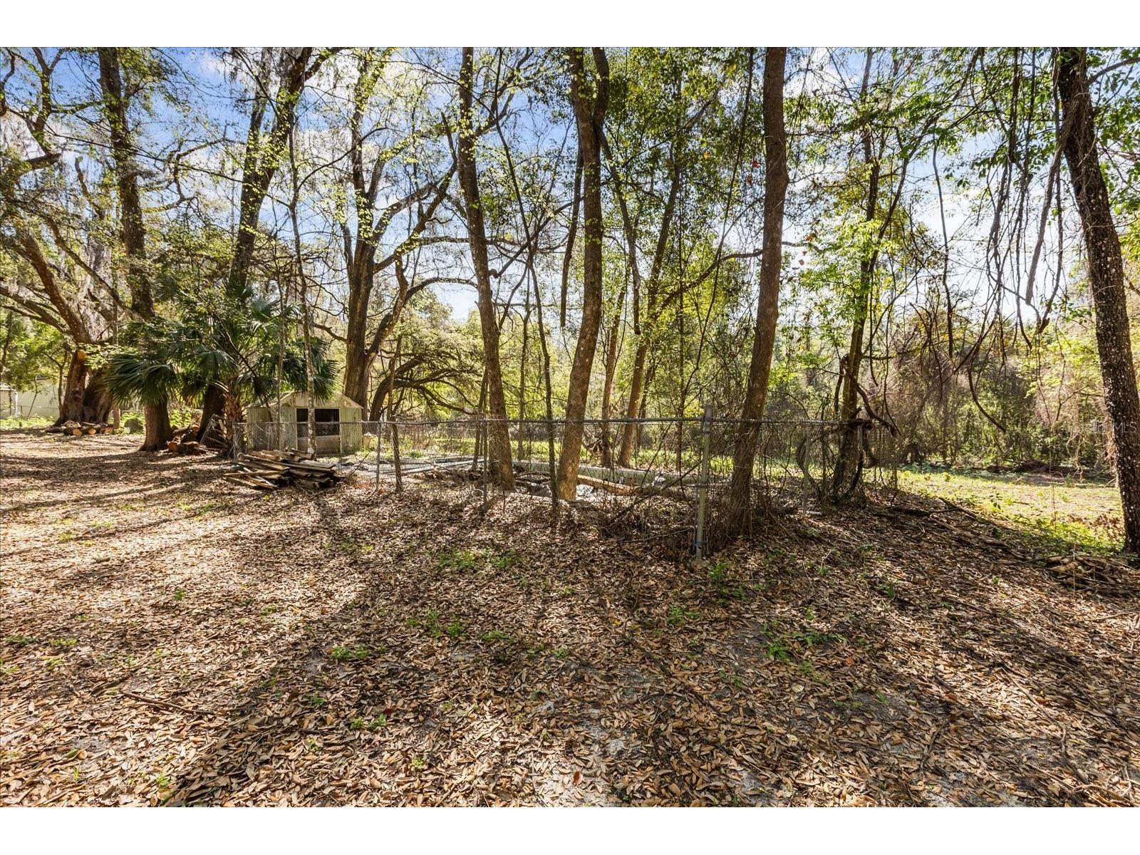 421 SW 137th Avenue Ocala FL 34481 O6390649 image43
