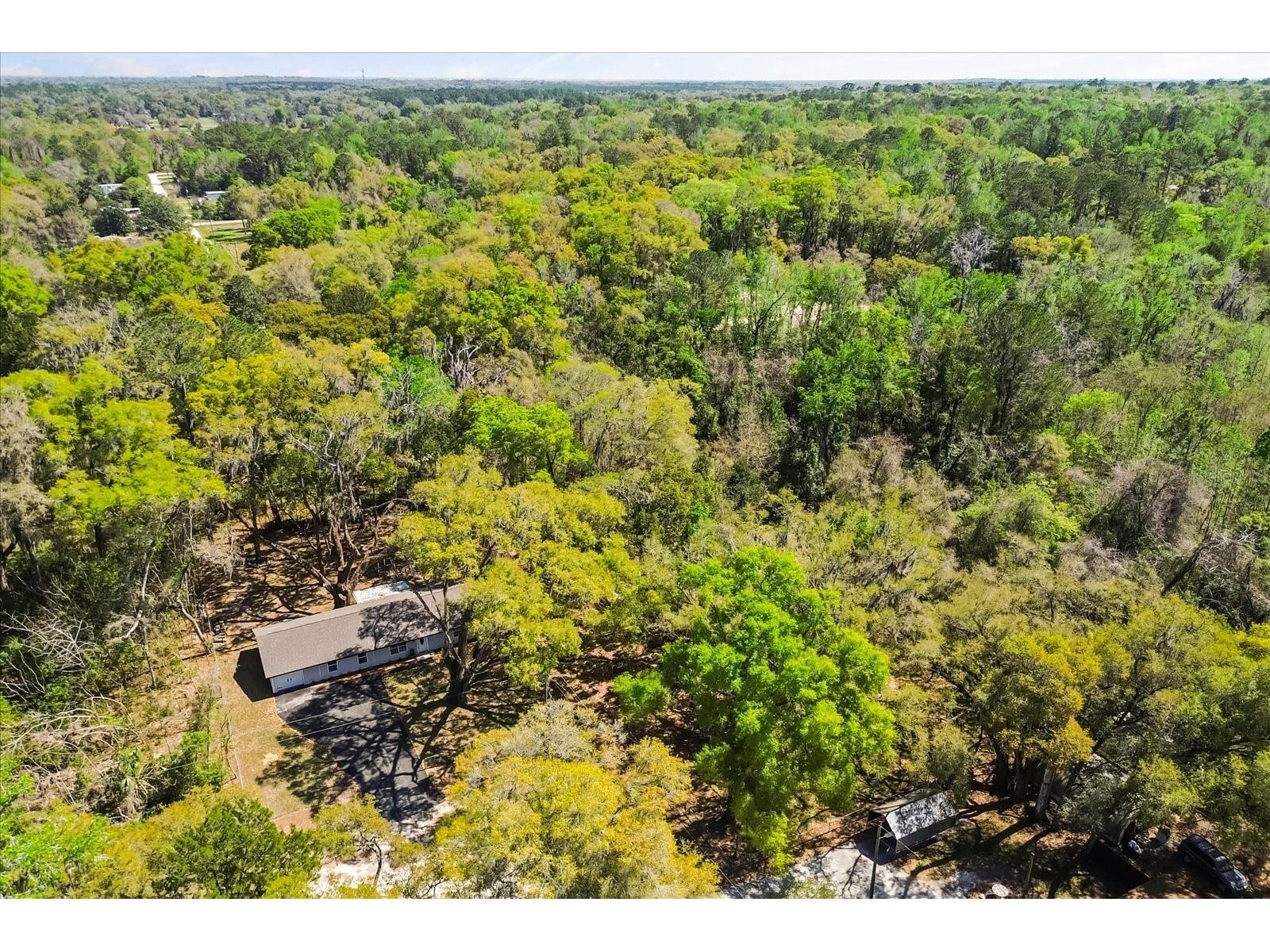421 SW 137th Avenue Ocala FL 34481 O6390649 image46
