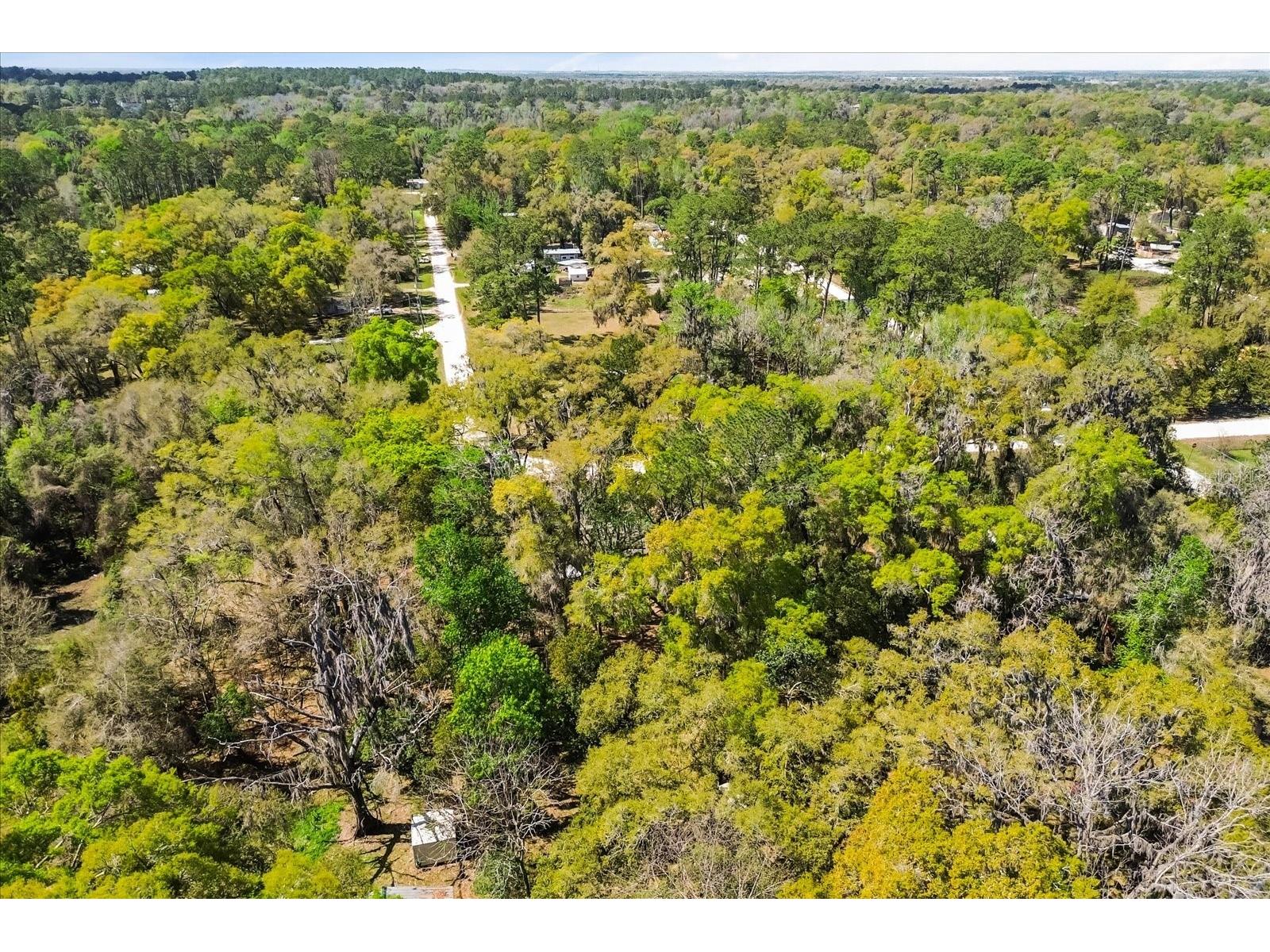 421 SW 137th Avenue Ocala FL 34481 O6390649 image47