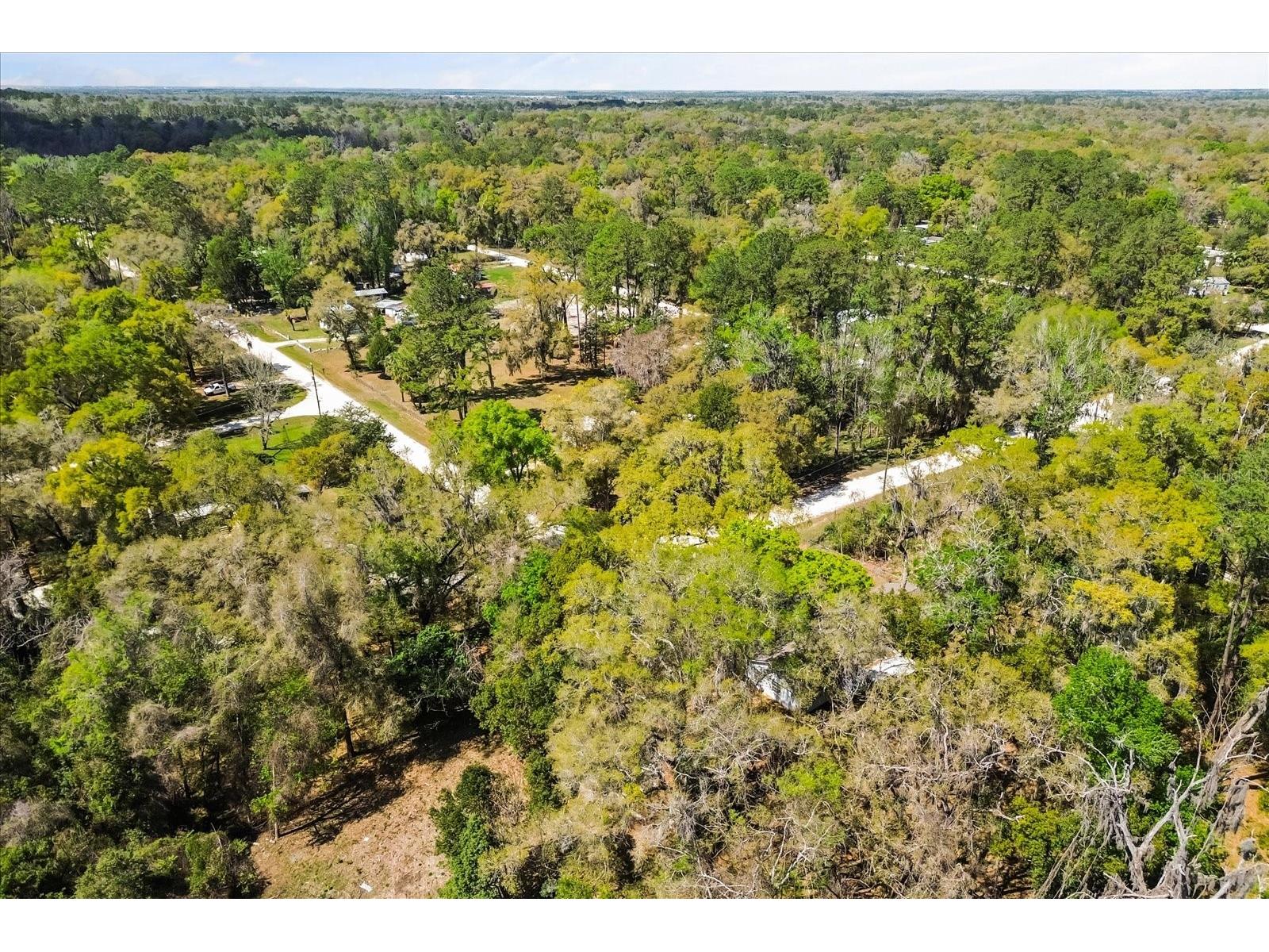 421 SW 137th Avenue Ocala FL 34481 O6390649 image48
