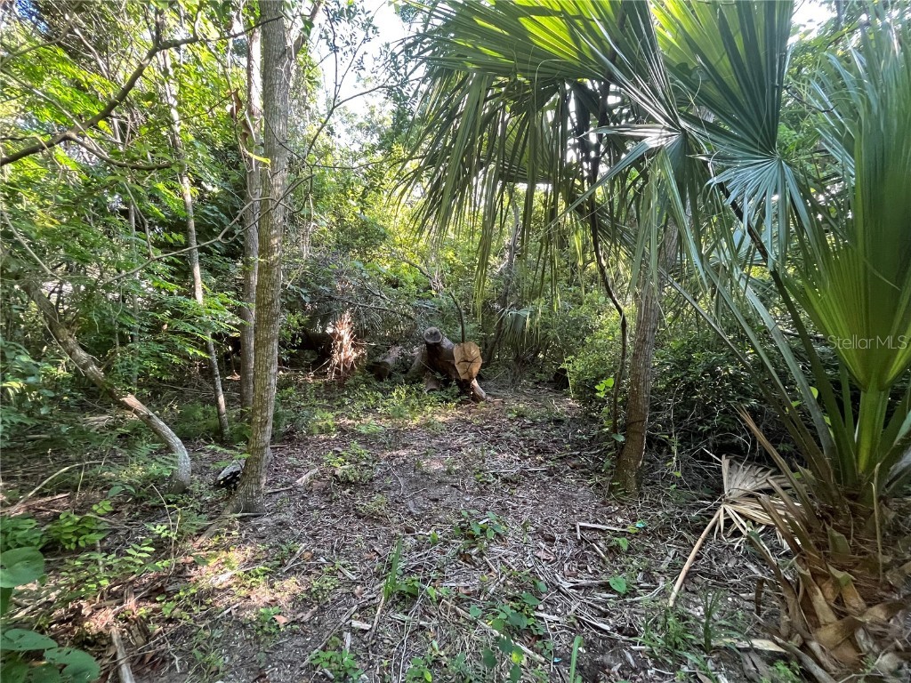 421 Tomoka Avenue Ormond Beach FL 32174 OK222817 image1