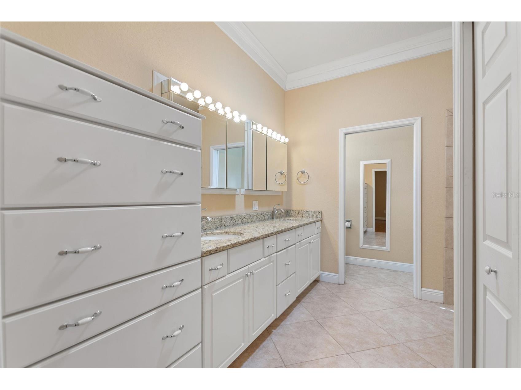 421 Travelers Drive Polk City FL 33868 L4956023 image29