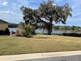 421 W Blue Water Edge Drive Eustis FL 32736 O6390448 image1