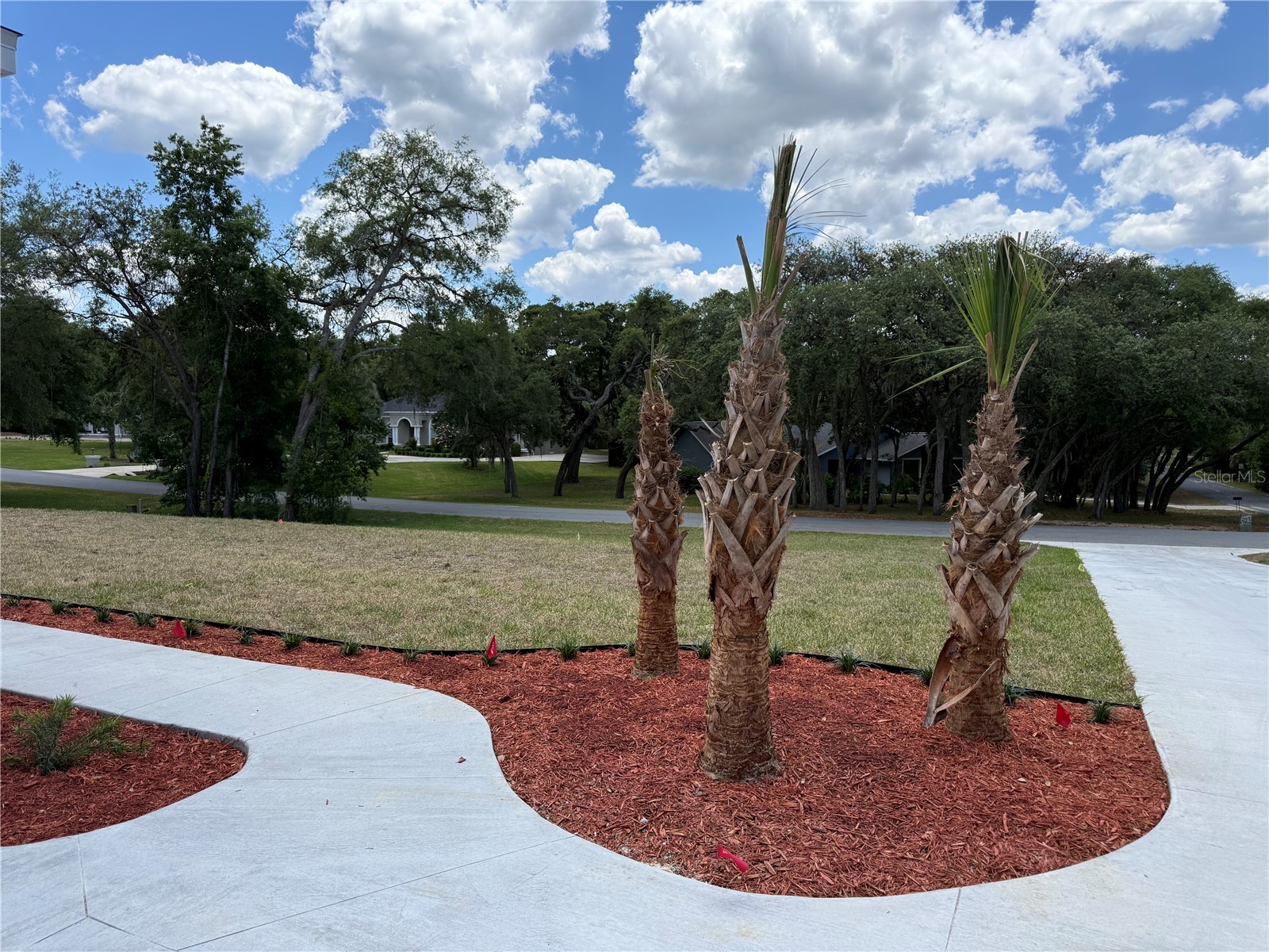 421 W Chase Street Hernando FL 34442 G5110368 image33
