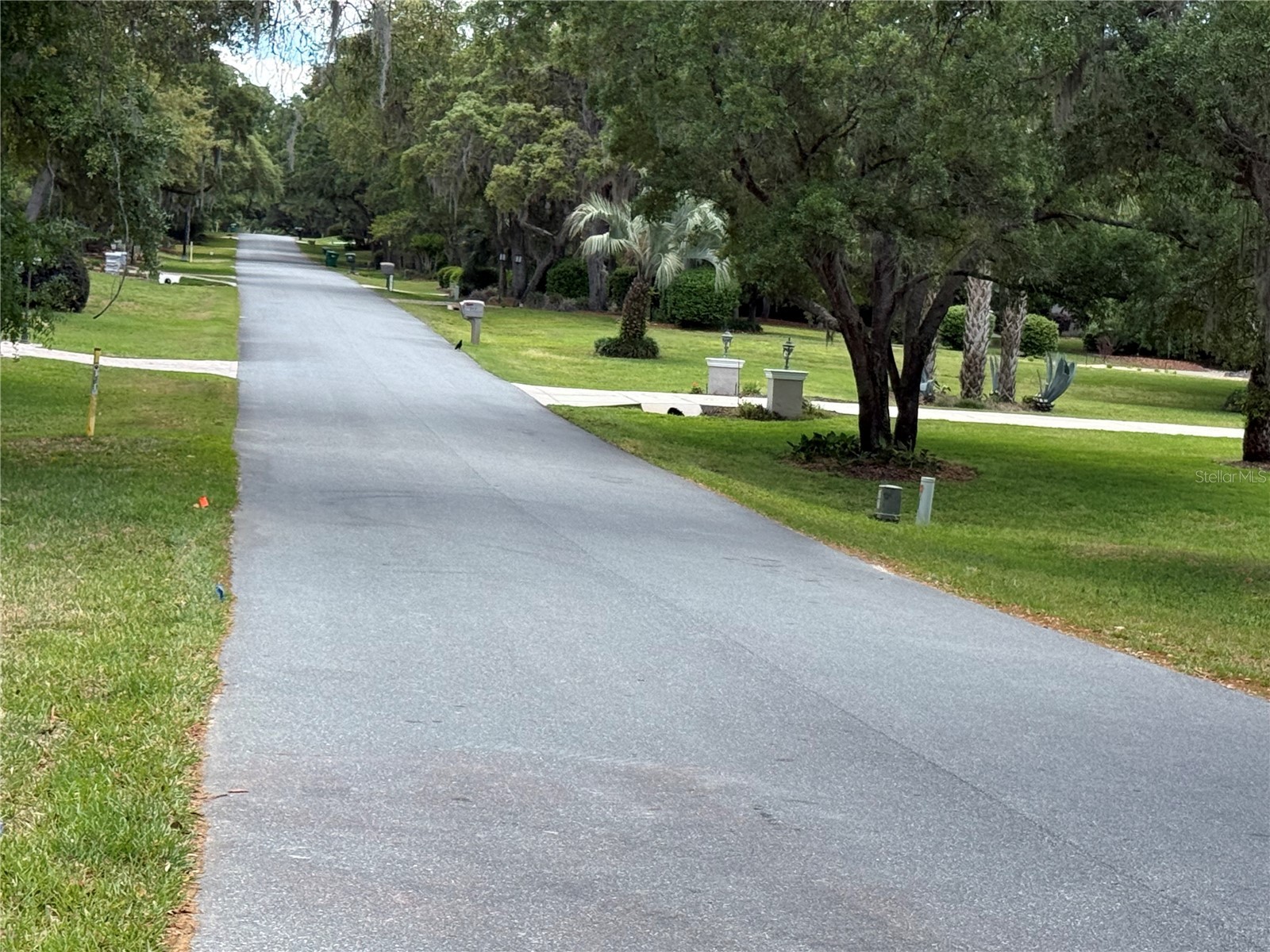 421 W Chase Street Hernando FL 34442 G5110368 image48