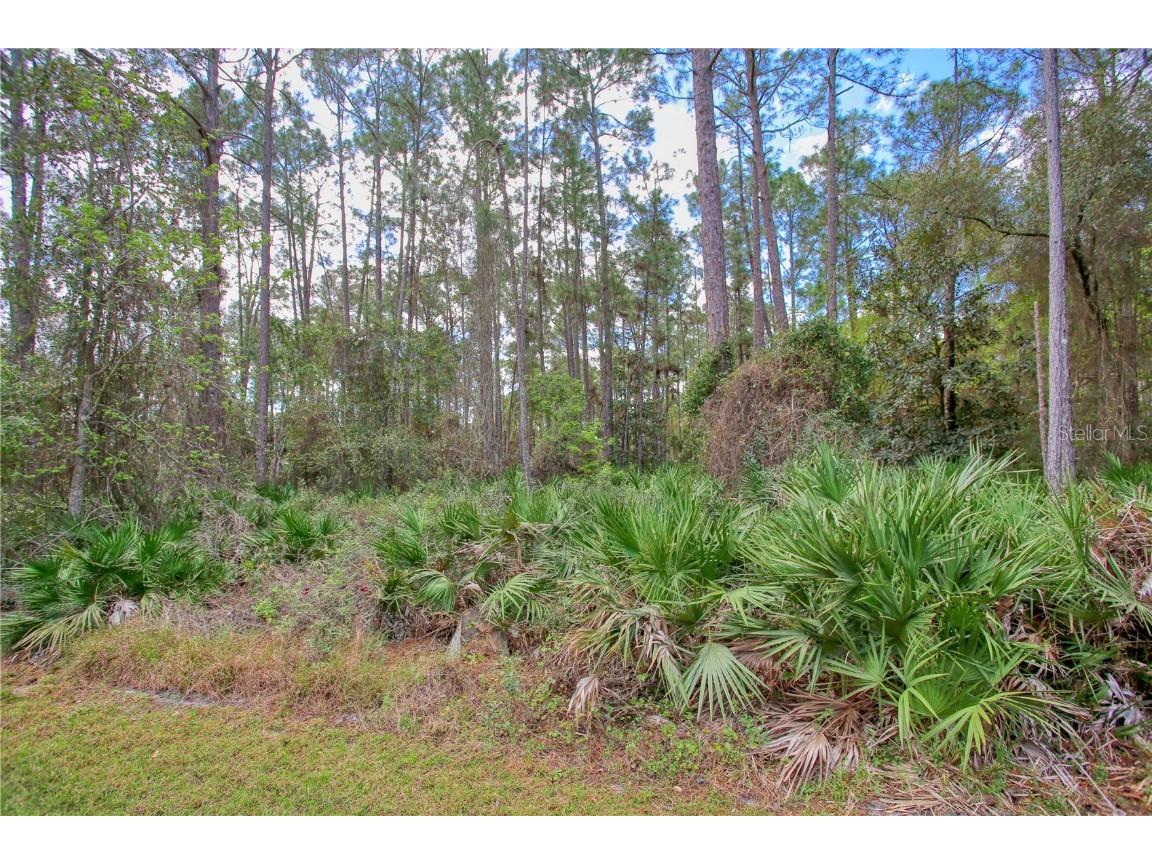 421 W Highbanks Road Debary FL 32713 V4940139 image1