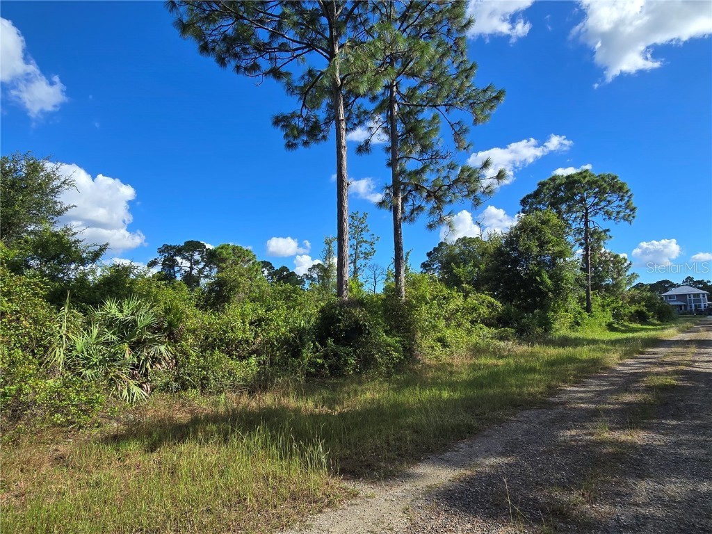 421 Wilder Avenue S Lehigh Acres FL 33974 O6354605 image4