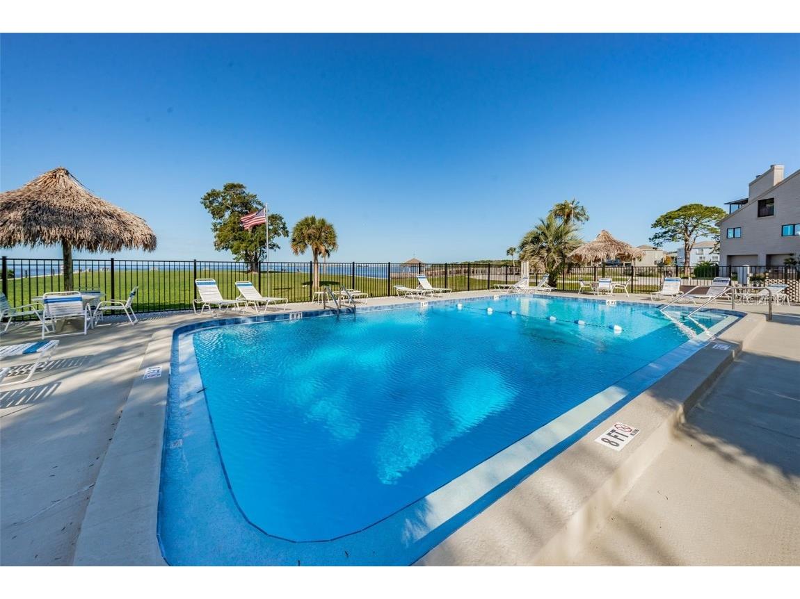 421 Windrush Bay Drive #421 Tarpon Springs FL 34689 TB8451661 image40