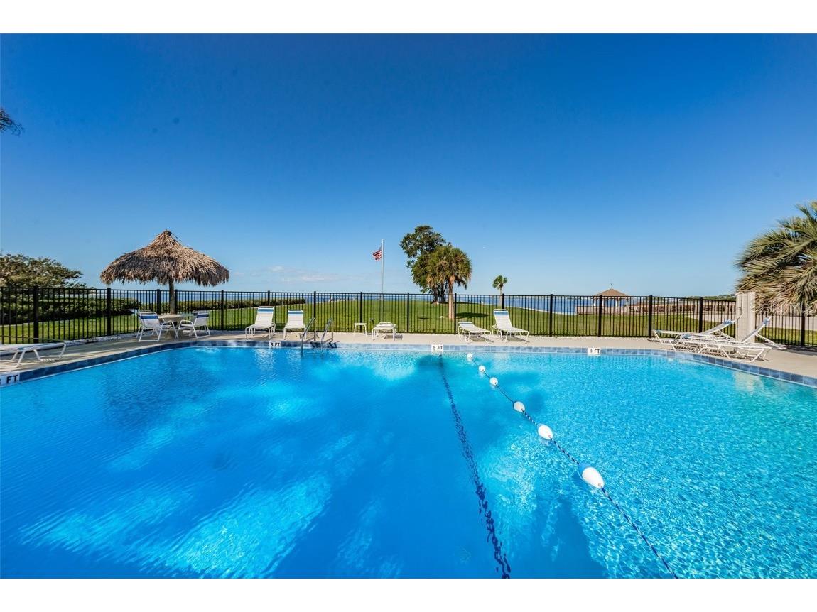 421 Windrush Bay Drive #421 Tarpon Springs FL 34689 TB8451661 image41