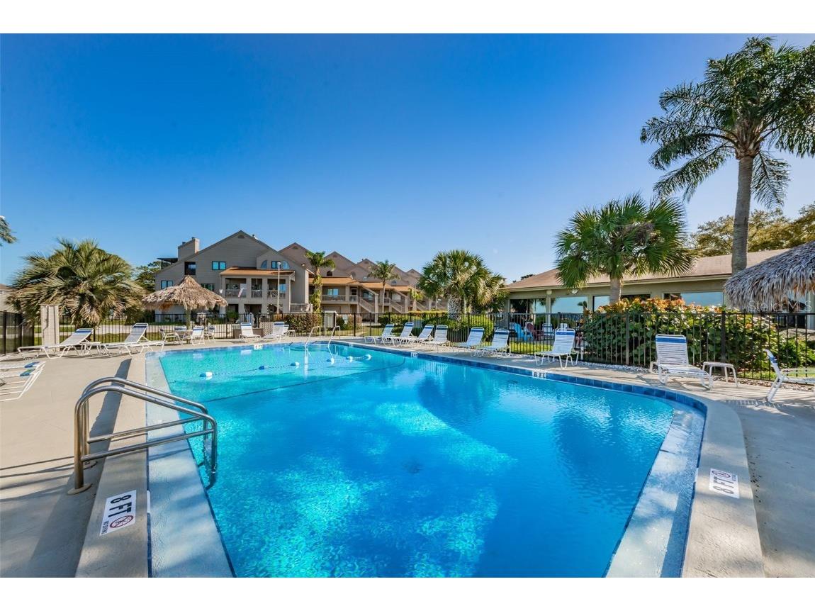 421 Windrush Bay Drive #421 Tarpon Springs FL 34689 TB8451661 image46