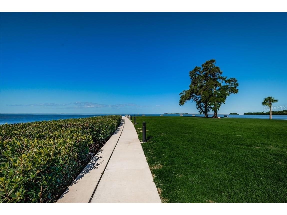 421 Windrush Bay Drive #421 Tarpon Springs FL 34689 TB8451661 image48