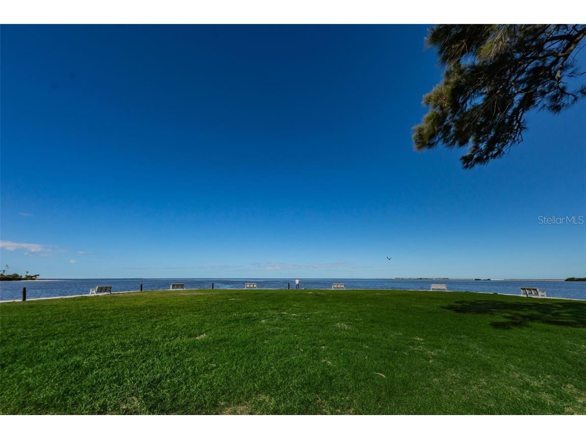 421 Windrush Bay Drive #421 Tarpon Springs FL 34689 TB8451661 image50